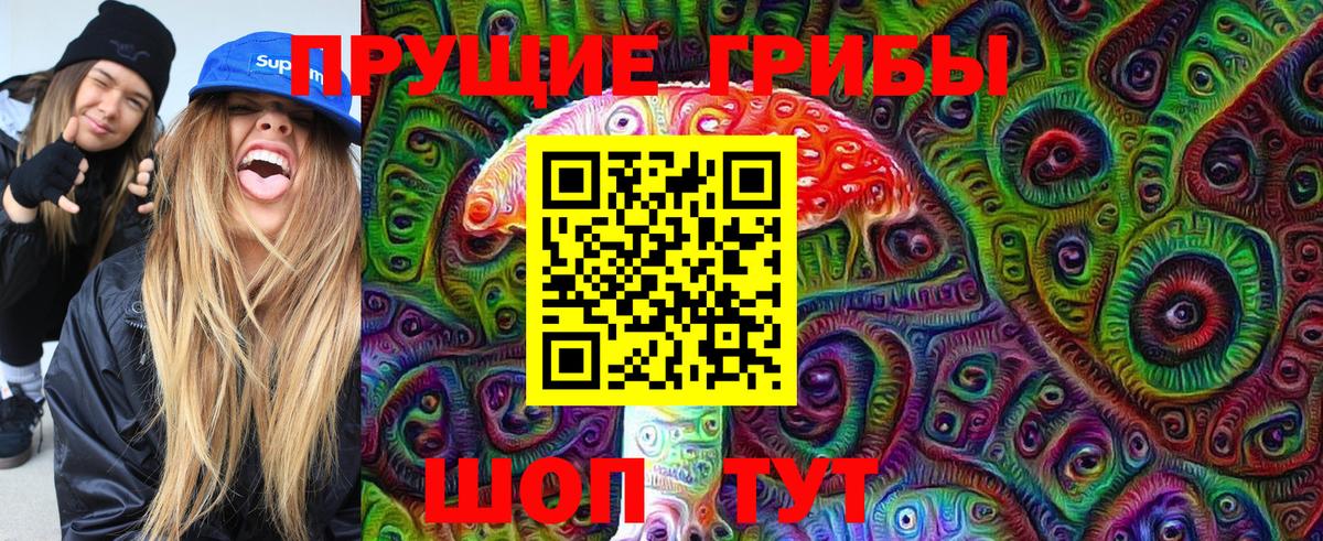 Галлюциногенные грибы мицелий  Вход с VPN  Калач-на-Дону  закладка  Галлюциногенные грибы Psilocybine cubensis 